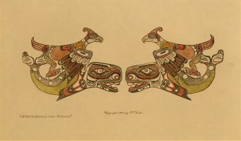 Thunderbirds and whales 1914