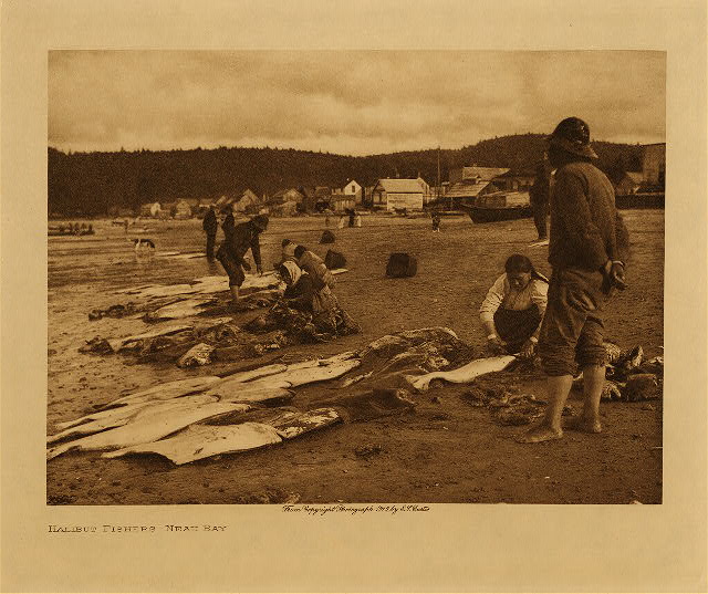 Halibut fishers : Neah Bay 1915