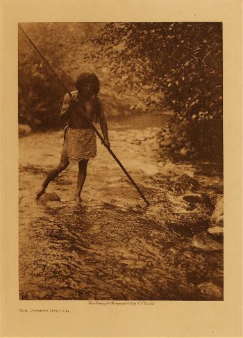 The forest stream 1923