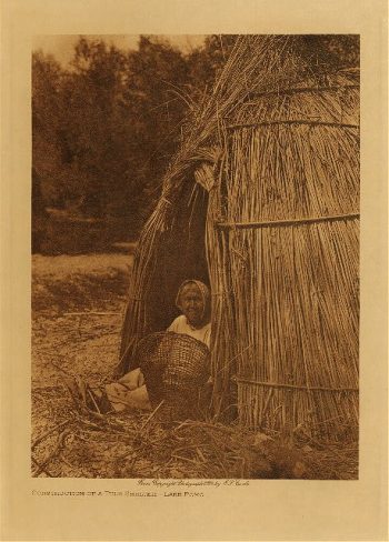 Construction of a tule shelter - Lake Pomo 1924