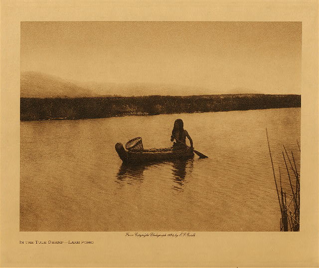 In the tule swamp - Lake Pomo 1924