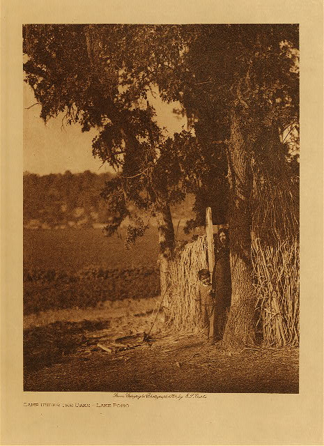 Camp under the oaks - Lake Pomo 1924