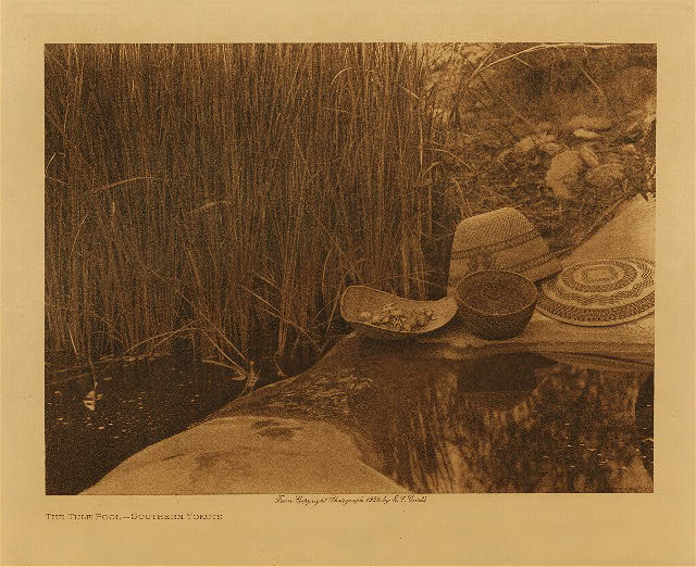 The tule pool (Southern Yokuts) 1924