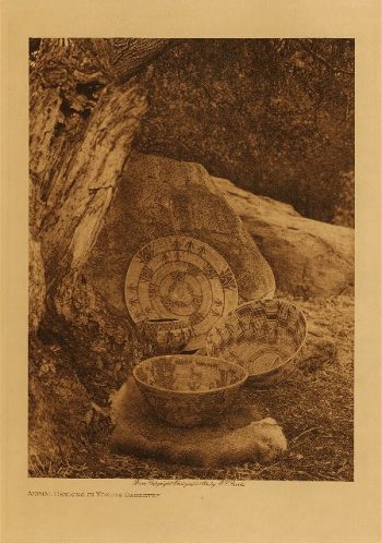 Animal designs in Yokuts basketry 1924