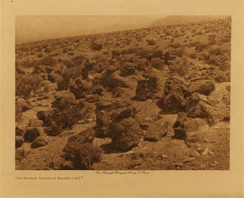 The ancient shore of Walker Lake 1924