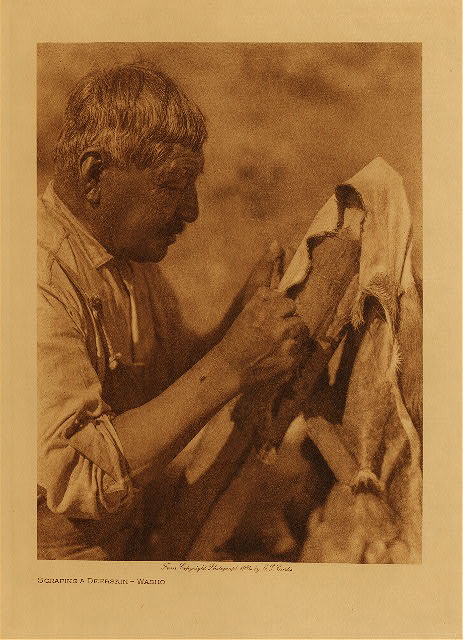 Scraping a deerskin (Washo) 1924