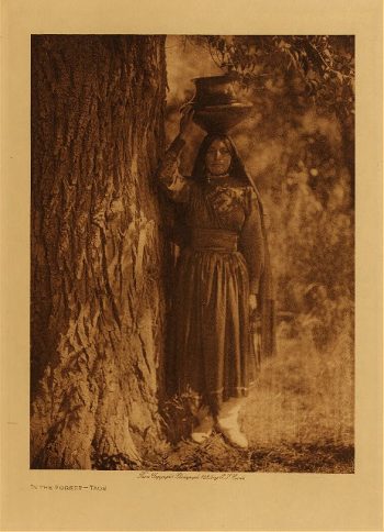 In the forest (Taos) 1925