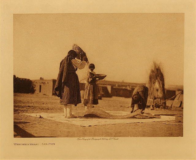 Winnowing wheat (San Juan) 1905