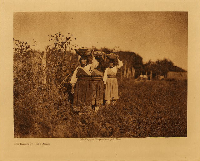 The harvest (San Juan) 1905