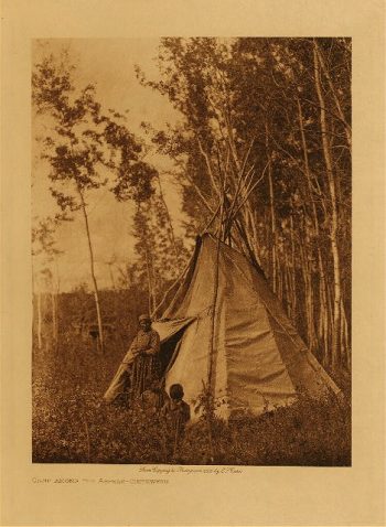 Camp among the aspens (Chipewyan) 1926