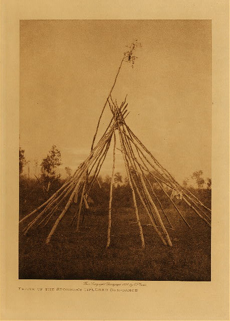 Frame of the sponsor's tipi, Cree sun-dance 1926