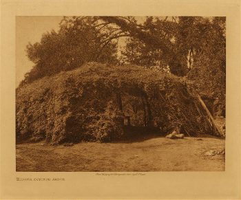 Wichita summer arbor 1927