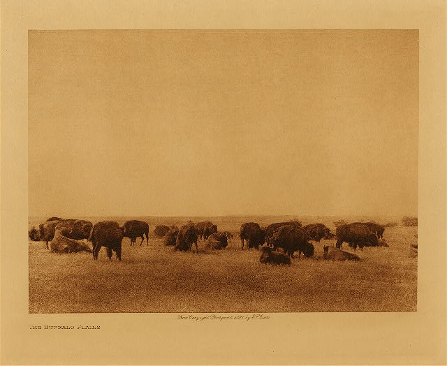 The buffalo plains 1927