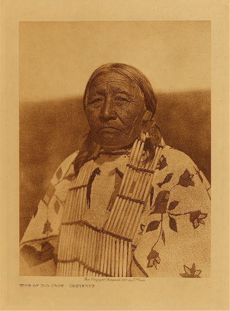 Wife of Old Crow (Cheyenne) 1927