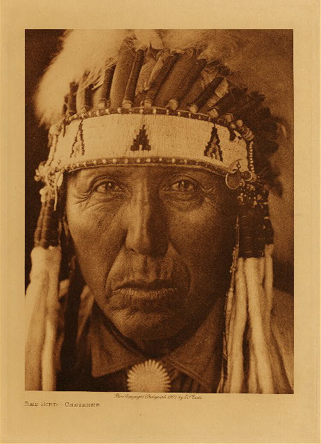Red Bird (Cheyenne) 1927