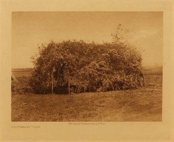 Oto puberty lodge 1927