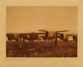Fish-drying racks, Nunivak 1928