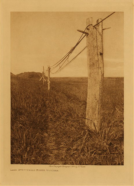 Line stretching posts, Nunivak 1928