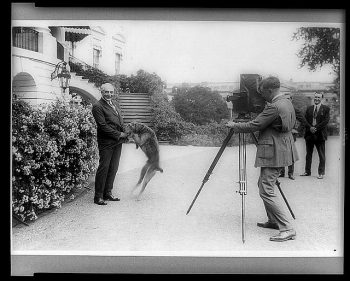 President Harding
