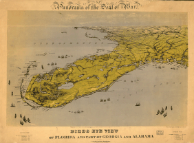 Birds eye view of Florida and part of Georgia and Alabama