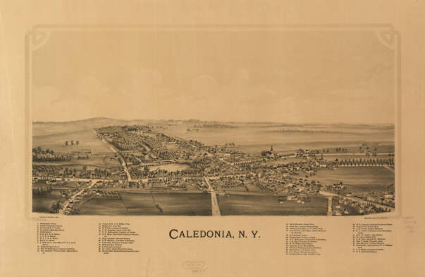Calendonia NY 1892