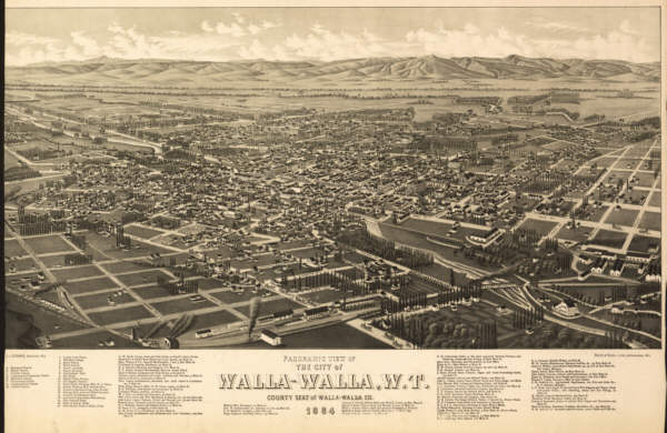 Walla-Walla NY 1884