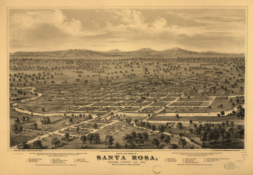 Bird's eye view of Santa Rosa, Sonoma County, Cal., 1876.