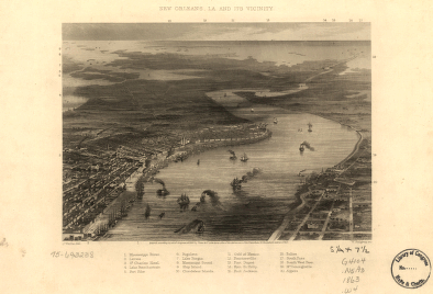 New Orleans, La. and its vicinity. J. Wells, del. W. Ridgway, sc.