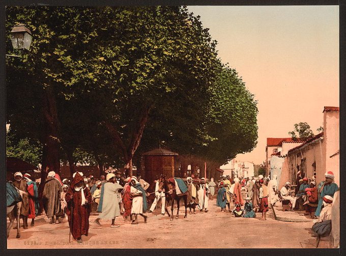 Arab market, Blidah, Algeria