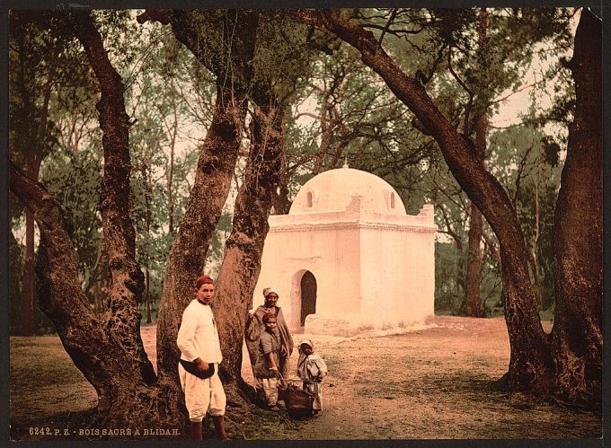 The sacred wood, Blidah, Algeria