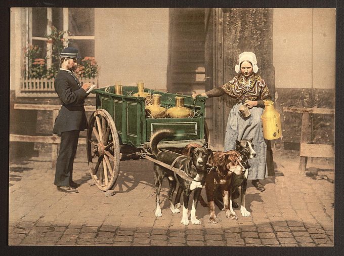 Flemish milk women, Antwerp, Belgium