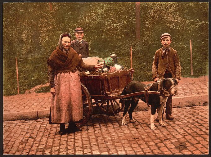 Milksellers, Brussels, Belgium