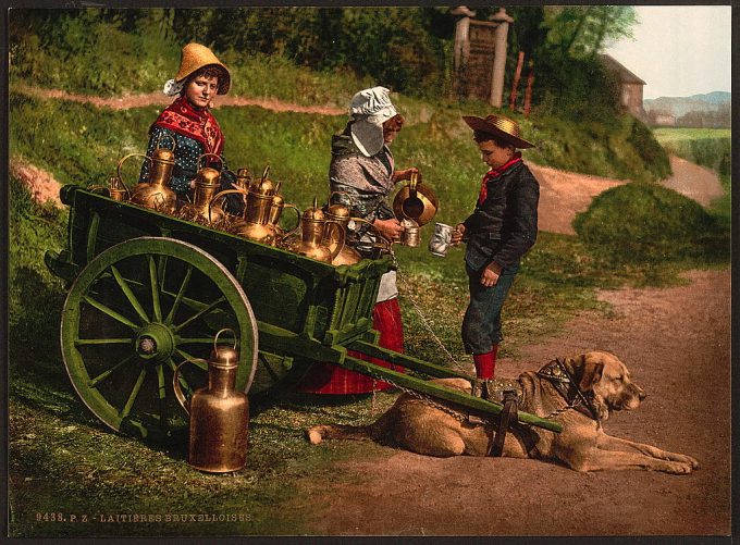 Milksellers, Brussels, Belgium