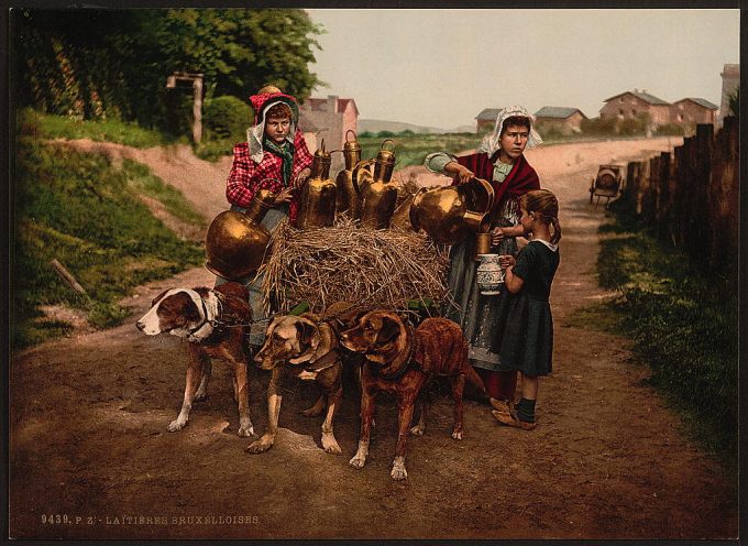 Milksellers, Brussels, Belgium