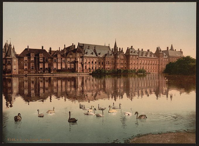 Wyver, Hague, Holland