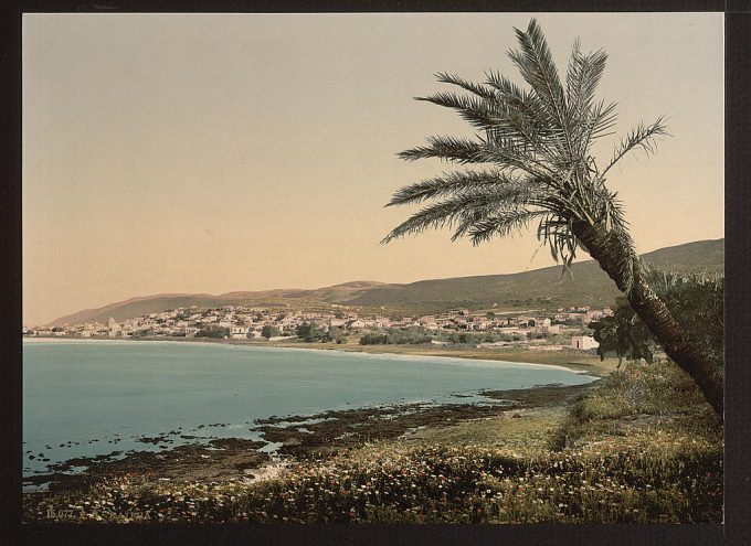 View from near foot of Mount Carmel, Chaifa, (i.e., Haifa, Israel)