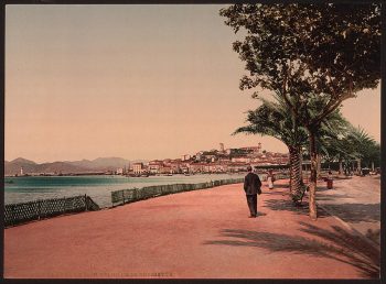 The boulevards, Cannes, Riviera