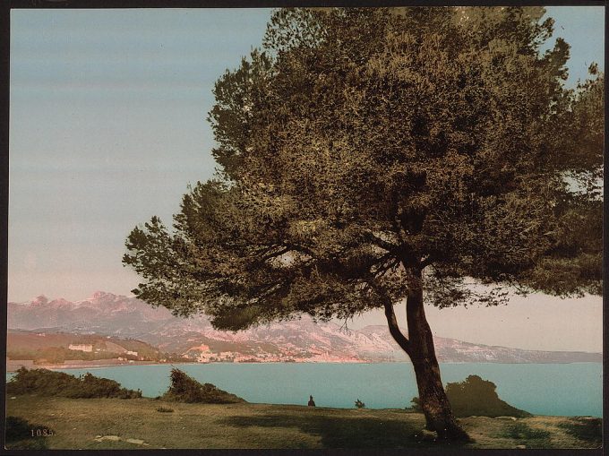 General view, Cap Martin, Mentone, Riviera