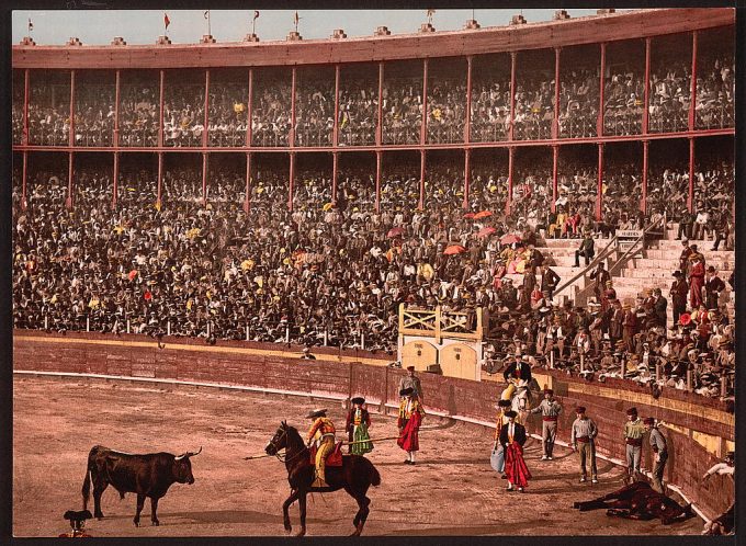 A bull fight, Barcelona, Spain