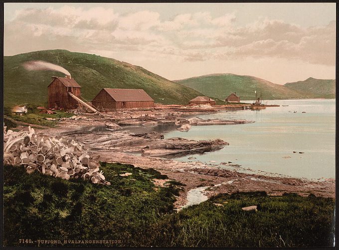 Hvalfanger Station, Tufjord, Norway