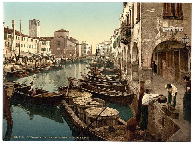 Chioggia, fish market, Venice, Italy