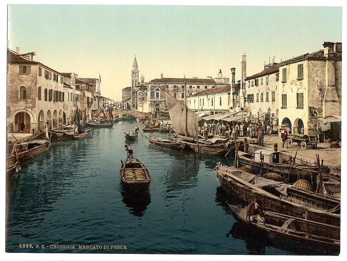 Chioggia, fish market, Venice, Italy