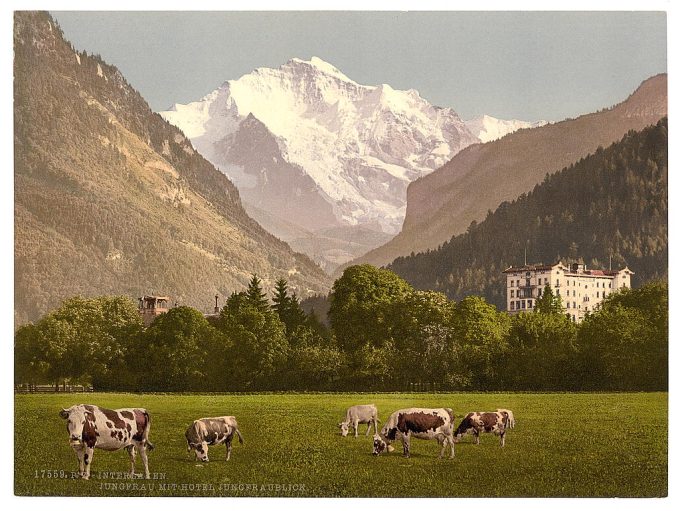 Jungfrau and Jungfraublick Hotel, Bernese Hotel, Switzerland