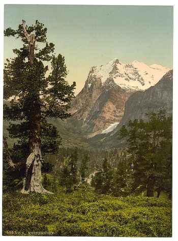 Wetterhorn, general view, Bernese Oberland, Switzerland