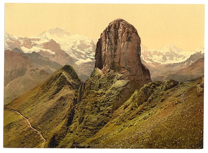 Schynige Platte, with view of Gummihorn and Jungfrau, Bernese Oberland, Switzerland