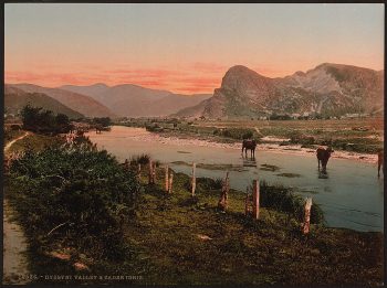 Cader Idris and Dyssyni Valley (cattle study), Wales