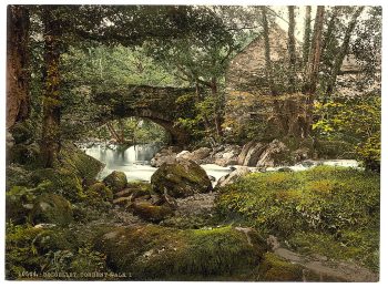 Torrent Walk I, Dolgelly (i.e. Dolgelley), Wales
