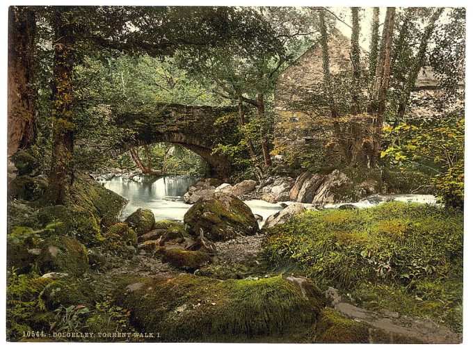 Torrent Walk I, Dolgelly (i.e. Dolgelley), Wales