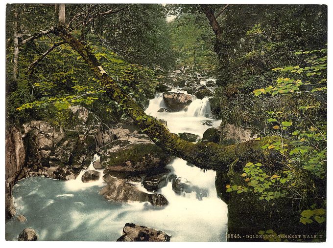 Torrent Walk II, Dolgelly (i.e. Dolgelley), Wales