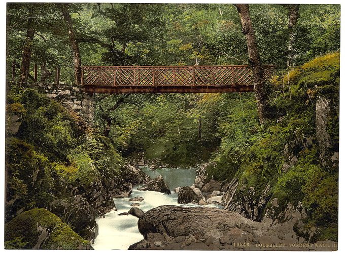 Torrent Walk III, Dolgelly (i.e. Dolgelley), Wales